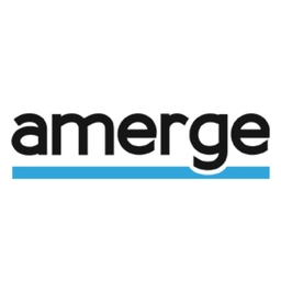 DSP Account Manager s nemeckým jazykom - Amerge logo