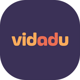 Graphic Designer  - Vidadu logo
