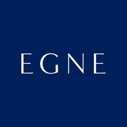 Hľadáme Full-Stack developera na inovatívne projekty v rýchlo rastúcej spoločnosti - EGNE logo