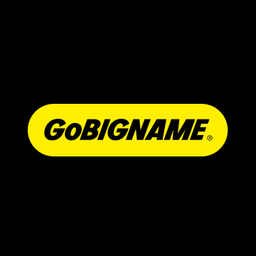 BRANDING Account Manager - GoBIGNAME logo